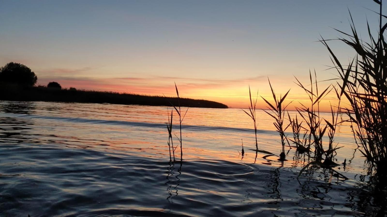 Ferien-Bungalow Im Seebad Ueckermuendeot Bellin Buitenkant foto